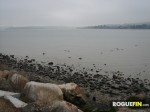 Benicia Point Pier