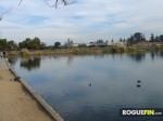 Los Gatos Creek County Park