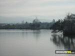 Los Gatos Creek County Park