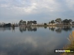 Los Gatos Creek County Park