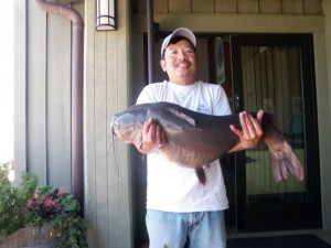 29.09lb Catfish Caught By Van Pham at Los Vaqueros Reservoir