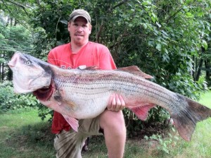 81.88lb Potential New World Record Striped Bass Caught By Greg Myerson