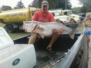 81.88lb Potential New World Record Striped Bass Caught By Greg Myerson