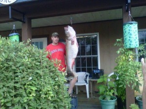 81.88lb Potential New World Record Striped Bass Caught By Greg Myerson