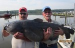 Maryland State Record Blue Catfish